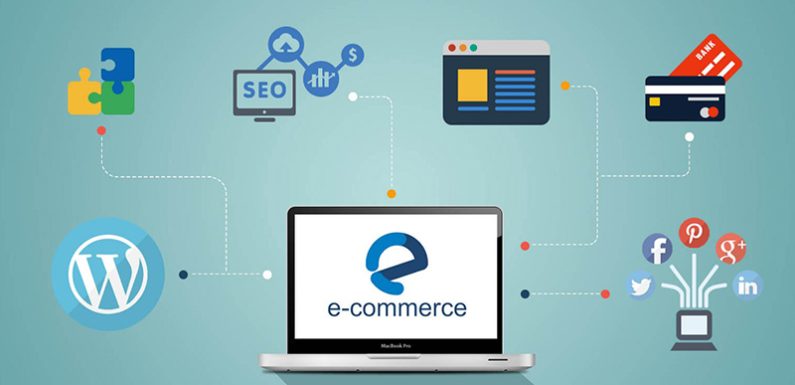 What is the e-Commerce System?