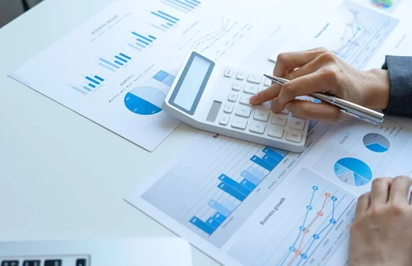 The Role of Business Accountants: Key Functions and Benefits