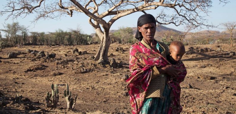 Preparing for the Next El Niño Event