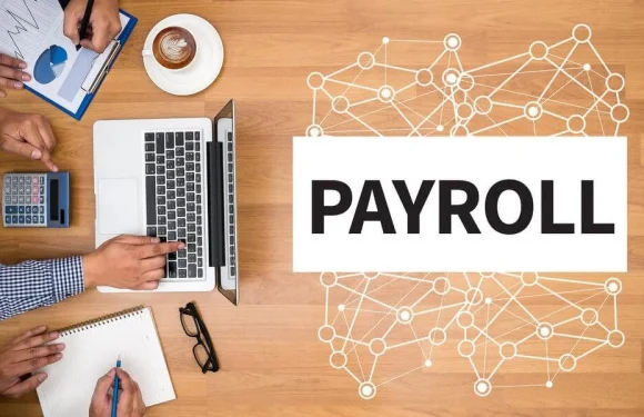 What Does Cost-Effective Payroll Processing Look Like? Insights From An Expert CPA in Campbell…