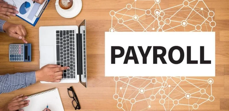 What Does Cost-Effective Payroll Processing Look Like? Insights From An Expert CPA in Campbell…