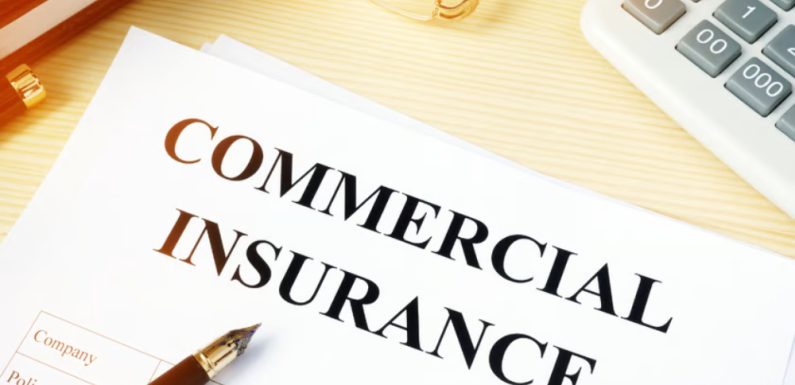 5 Reasons to Work with a Commercial Insurance Provider